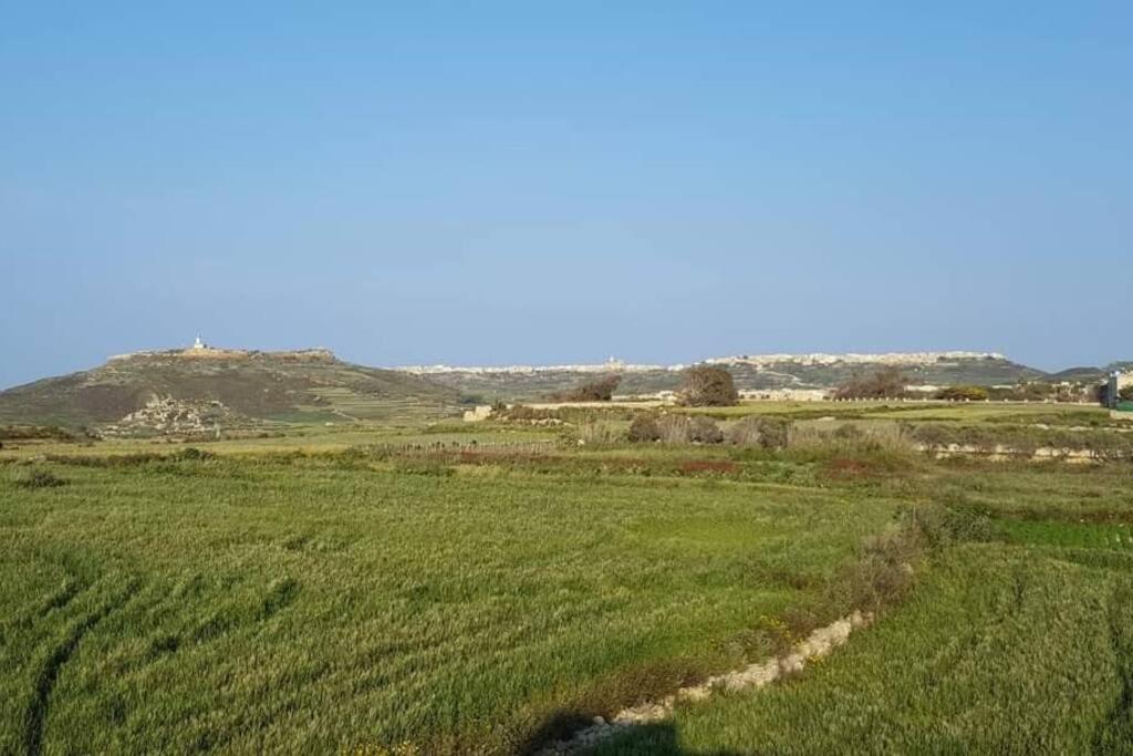 Farmhouse Villa With Large Pool And Garden In Gozo Għarb 外观 照片
